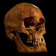 Image for article titled Richard III identified? Not so fast, say DNA experts